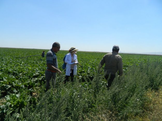 2015 - 2016 Altınekin Kasabası