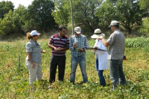 2015 - 2016 Avdul Kasabası