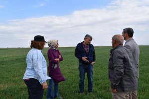 2015 - 2016 İçeriçumra Mahallesi