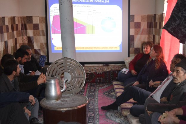 2017-2018 CİHANBEYLİ/ HODOĞLU